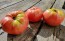 Tomato 'Mrs. Maxwell's Big Italian' Seeds (Certified Organic)