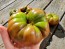 Tomato 'Arbuznyi' Seeds (Certified Organic)