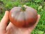 Tomato 'German Black' Seeds (Certified Organic)