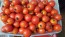 Tomato 'Red Cherry Heirloom' Seeds (Certified Organic)