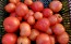 Tomato 'Raspberry Lyanna' Seeds (Certified Organic)