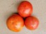 Tomato 'June Pink' AKA 'Pink Earliana' Seeds (Certified Organic)