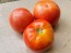 Tomato 'June Pink' AKA 'Pink Earliana' Seeds (Certified Organic)