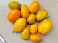 Tomato 'Orange Roma' Seeds (Certified Organic)