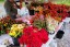 Dahlia 'Puffy Red' Tubers - Shipping 2025 Spring - Harvested on our Farm - USDA Certified Organic