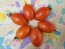 Tomato 'Matt's Folly' Seeds (Certified Organic)