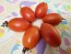 Tomato 'Matt's Folly' Seeds (Certified Organic)