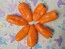 Sweet Pepper 'Lunch Box Orange' Seeds (Certified Organic)