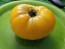 Tomato 'Dagma's Perfection' Seeds (Certified Organic)