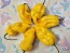 Hot Pepper 'Aji Lemon x Reaper' Seeds (Certified Organic)