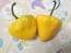 Hot Pepper 'Hinkelhatz Chicken Heart Yellow' Seeds (Certified Organic)