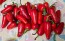 Hot Pepper 'Mattapeno' Seeds (Certified Organic)