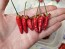Hot Pepper 'Thai Dragon' Seeds (Certified Organic)