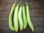 Eggplant 'Thai Long Green’ Seeds (Certified Organic)
