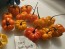 Hot Pepper ‘Orange Scotch Bonnet’ Seeds (Certified Organic)