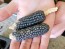 'Melinda's Mini Blue Popcorn' Corn Seeds