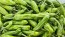Pepper 'Shishito' Seeds (Certified Organic)
