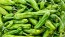 Pepper 'Shishito' Seeds (Certified Organic)