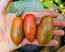 Tomato 'Prairie Fire' Seeds (Certified Organic)