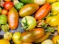 Tomato 'Prairie Fire' Seeds (Certified Organic)