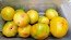 Tomato 'Eye of the Dingo' Seeds (Certified Organic)
