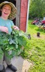 Kale 'Red Russian' Seeds (Certified Organic)