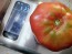 Dwarf Tomato 'Snakebite' Seeds (Certified Organic)