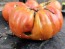 Tomato 'Behemoth King' Seeds (Certified Organic)