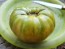 Tomato 'Azoychka' Seeds (Certified Organic)