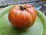 Tomato 'Italian Beefsteak' Seeds (Certified Organic)