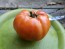 Tomato 'Italian Beefsteak' Seeds (Certified Organic)