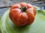 Tomato 'Italian Beefsteak' Seeds (Certified Organic)