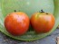 Tomato 'Beefsteak' Seeds (Certified Organic)
