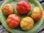 Tomato 'Super Marmande' Seeds (Certified Organic)