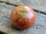 Tomato 'Sara Black' Seeds (Certified Organic)