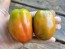 Dwarf Tomato 'San Marzano' Seeds (Certified Organic)