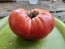 Tomato 'Purple Sicilian Saucer' Seeds (Certified Organic)