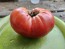 Tomato 'Purple Sicilian Saucer' Seeds (Certified Organic)