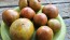 Tomato 'Everett's Rusty Brown' Seeds (Certified Organic)