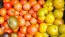 Tomato 'Big Beef' Seeds (Certified Organic)