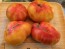 Tomato 'Eye of the Dingo' Seeds (Certified Organic)