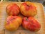 Tomato 'Eye of the Dingo' Seeds (Certified Organic)