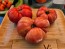 Dwarf Tomato 'Strawberry Lemonade' Seeds (Certified Organic)
