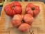 Dwarf Tomato 'Strawberry Lemonade' Seeds (Certified Organic)