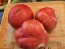 Dwarf Tomato 'Strawberry Lemonade' Seeds (Certified Organic)