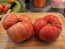Dwarf Tomato 'Strawberry Lemonade' Seeds (Certified Organic)