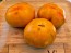 Tomato 'Plan 9 From Outer Space' Seeds (Certified Organic)