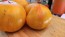 Tomato 'Plan 9 From Outer Space' Seeds (Certified Organic)