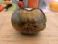 Tomato 'Marsha's Starfighter' Seeds (Certified Organic)