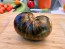 Tomato 'Marsha's Starfighter' Seeds (Certified Organic)